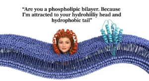 Cell Membrane Pick Up Lines