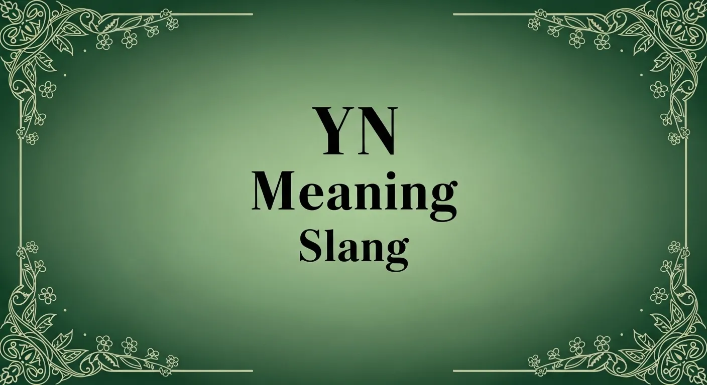 YN Meaning Slang